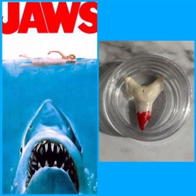  Jaws: Uma Jornada Sanguinolenta Pelo Oceano e pela Psicologia Humana!